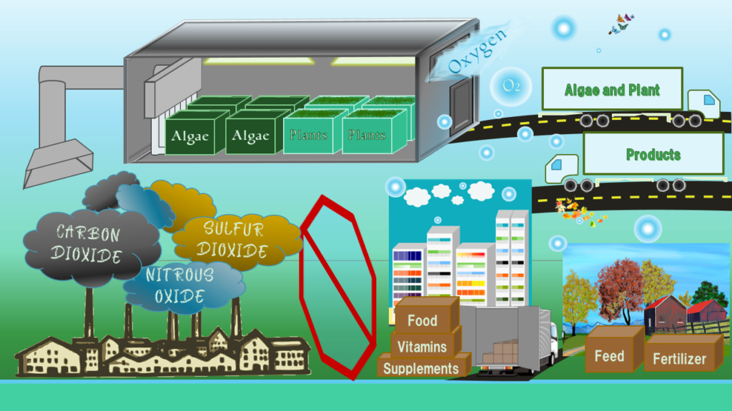 CR Production Cycle - web