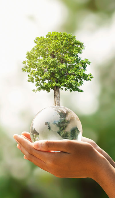 Hand holding the earth with a tree